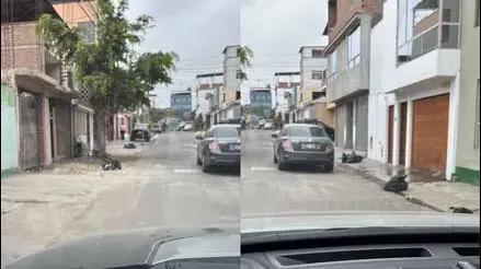 Vecinos de SJM denuncian que camiones de basura no pasan por varias calles del distrito desde hace dos semanas