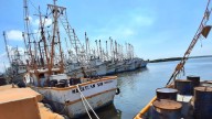 ¡No quieren otro ‘Ismael’! Barcos camaroneros se resguardan en Mazatlán por huracán ‘Priscilla’