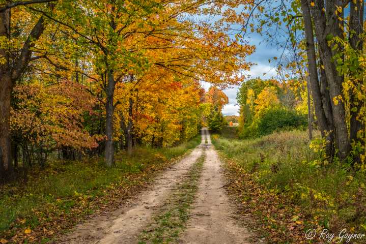 Little Traverse Conservancy invites farmers to protect land through conservation easements