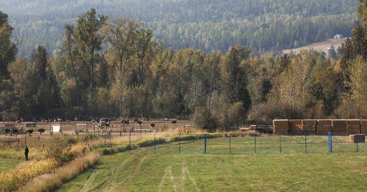 Ostrich farm: SCC to decide on Nov. 6 whether to hear case