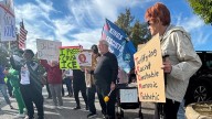 Thousands Rally in Chesapeake for 'No Kings' Pro
