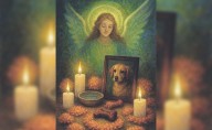 Día de Muertos: Ritual de luz y amor para honrar a tus mascotas fallecidas