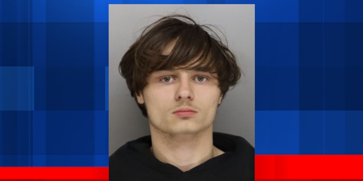 Police warn residents over spike in car thefts, arrests in Delhi Township