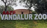 Vandalur zoo to go fully carbon-neutral: Tamil Nadu govt