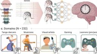 Confirman que las actividades creativas retrasan el envejecimiento cerebral