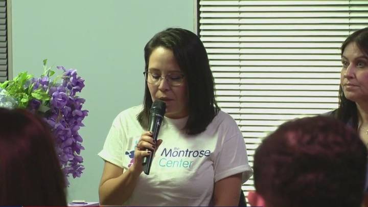 Data shows disturbing rise in murders tied to domestic violence in Harris County