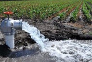 Procuraduría pide claridad sobre aguas para Coca