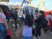 YA SON MÁS DE 2.400 ESTERILIZACIONES 