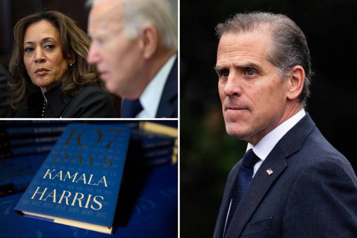 Hunter Biden laments Kamala Harris' 'painful' book, implies Joe picked her because she's black