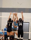 BIIF volleyball: Warriors wash Waveriders, advance to semis