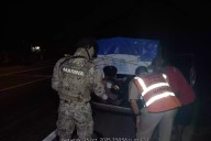 Aseguran más de 140 kilos de pulpo maya en operativo contra pesca ilegal en Champotón