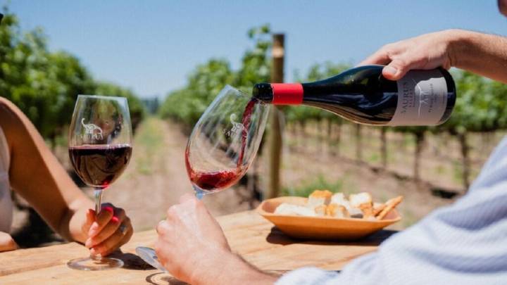 Verano en la Patagonia: la imperdible ruta del vino para disfrutar entre paisajes y bodegas