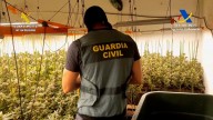 Cae una red en Málaga dedicada al cultivo y exportación de marihuana a países europeos