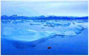 Roving reindeer, hungry bears: warming upends an Arctic isle