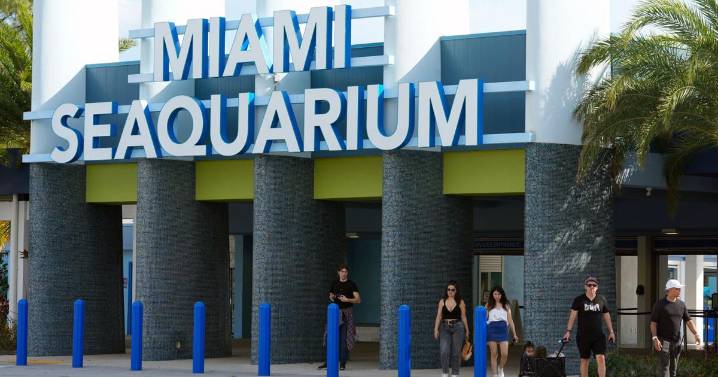 The cherished and controversial Miami Seaquarium closes its doors