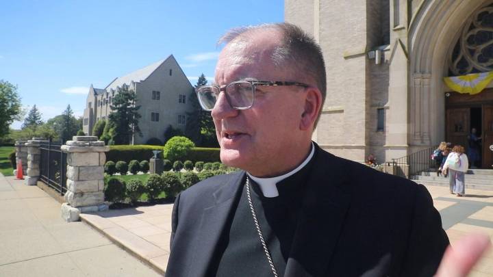 The role of LI's Bishop Barres amid Pope Leo's call for more strident opposition to the immigration crackdown.