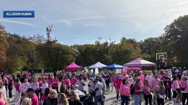 Making Strides Against Breast Cancer Walk in Exeter honors survivors, raises money for research