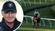 David Hayes dispels wild rumours about hot $20 million race favourite Ka Ying Rising, saying it’s ‘fake news’