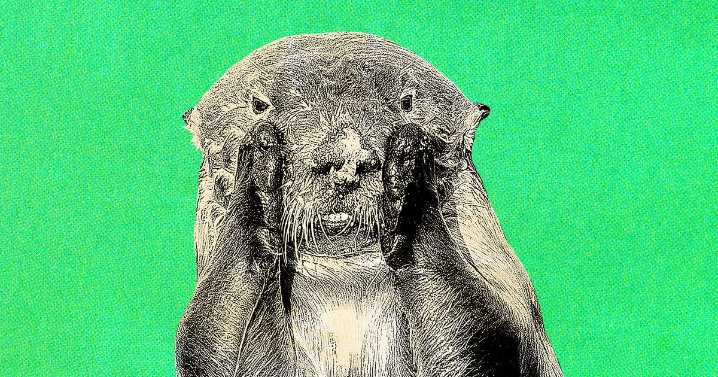 Who Cares If Your Kids Embarrass You?