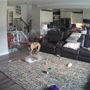 Fire chief’s home set ablaze after dog chews through lithium battery