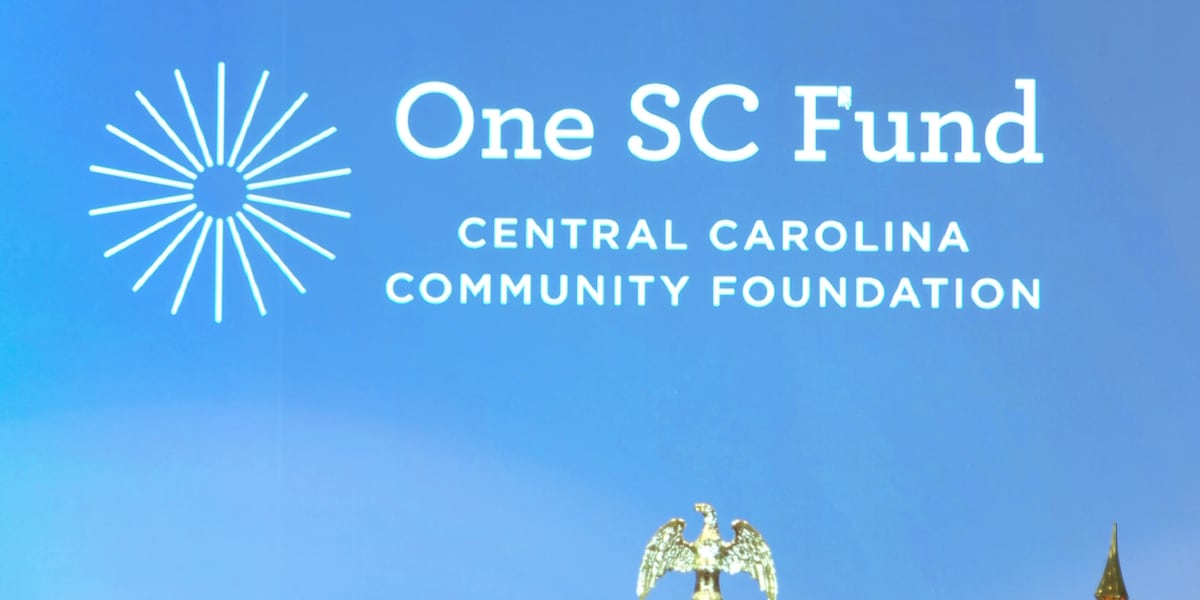 Duke Energy donates $100K to One SC Fund ahead of SNAP freeze