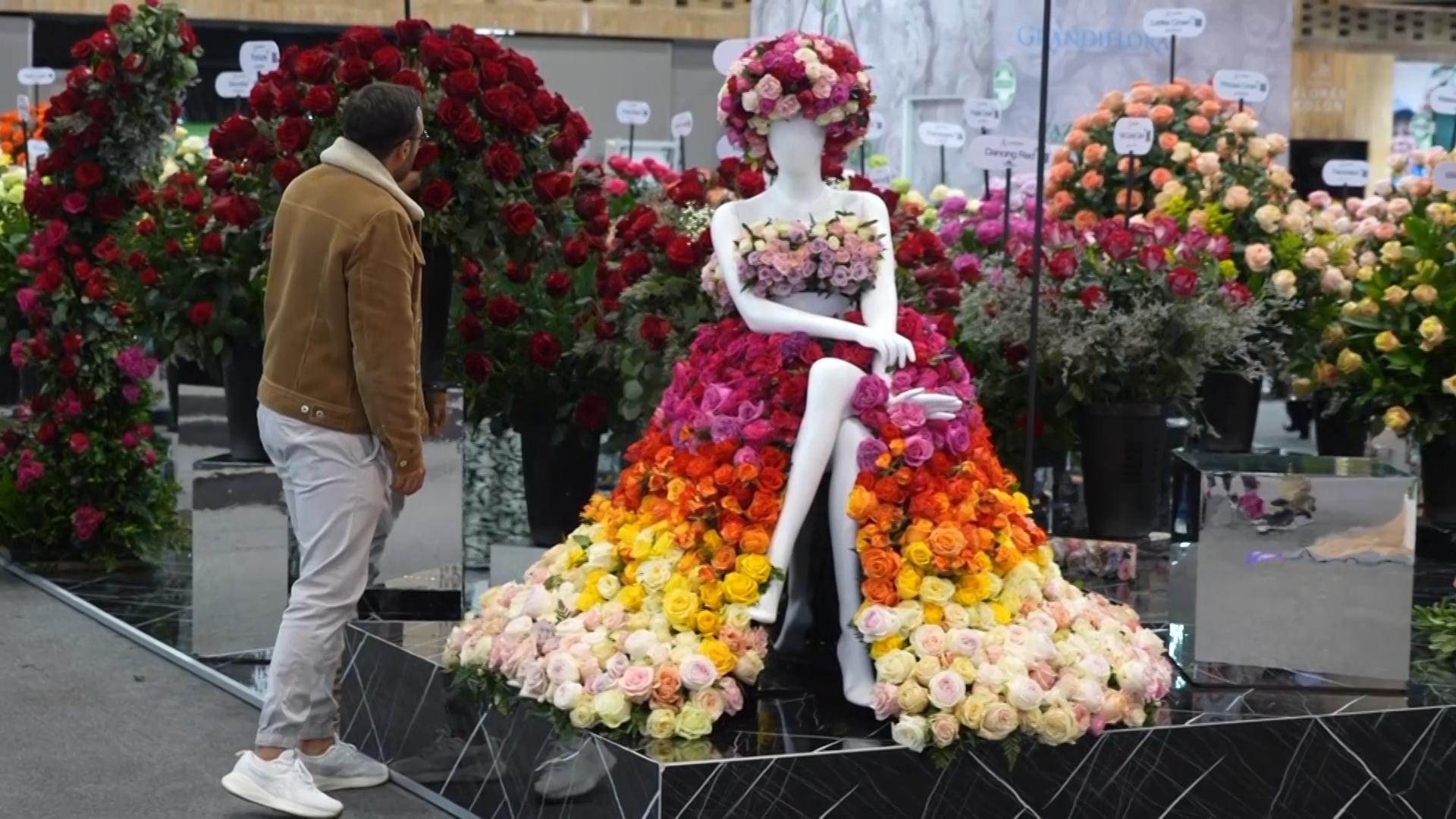 Colombian flower growers fear impact of tension between Petro and Trump administrations
