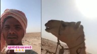 ‘Main Mar Jaunga’: UP Man Stuck In Saudi Desert With Camel Cries For Help; Saudi Security Department Say Claims ‘Baseless’