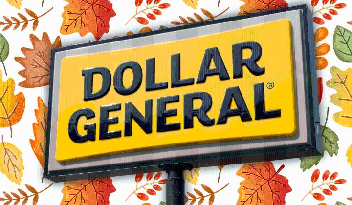 11 Best New Dollar General Seasonal Decor Flying Off Shelves This Week