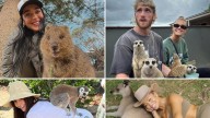 Wildin' Out Celebs With Exotic Animals for World Animal Day!