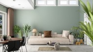 Estas son las plantas recomendadas para tener dentro una vivienda, según el Feng Shui