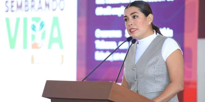 Con Sembrando Vida Tabasco e inversión social superior a 344 mdp, Gobierno del Pueblo fortalece el campo y acorta brechas de desigualdad: Bienestar
