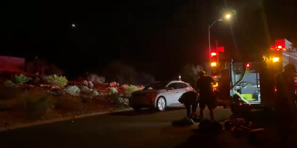 Phoenix Fire crews rescue hiker, stray dog stranded on Shadow Mountain
