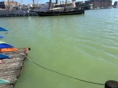 The Waterfront Partnership of Baltimore releases Healthy Harbor Report Card