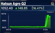 Hatsun Agro Q2 Results: Stock surges 20% as acquisition boosts earnings