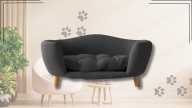 Spoil your pup with 51% off this stylish mid