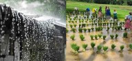 Southwest monsoon ends, northeast showers bring hope for coastal Karnataka farmers