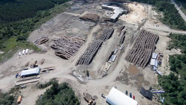 Gogama sawmill shuts down for two weeks, expected to resume with fewer workers