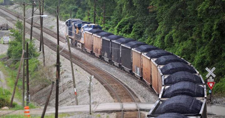 CSX reports earnings decrease despite improvement in coal business
