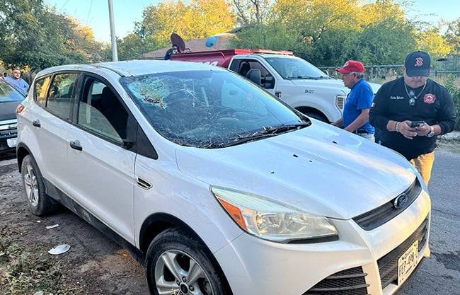 Ventarrón derriba árbol y cae sobre camioneta en Nava