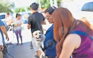 Esterilizará DABA perros y gatos en distintos puntos el fin de semana