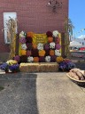 Black Walnut Festival underway in Spencer