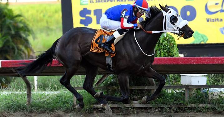 Sólido triunfo clásico para Gold Apple