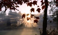 Here’s what happens to your body when clocks ‘fall back’ an hour