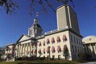 New Florida law a ‘gift to developers.’ Critics sue to block it.
