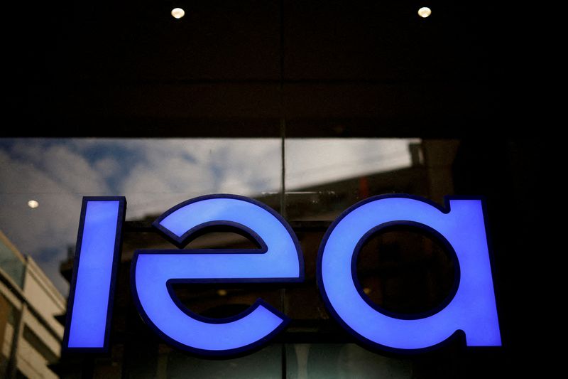 IEA trims renewables outlook as US policy shifts and China auction reforms weigh