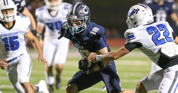 Vote for the Bill Knight Automotive player of the week for Week 8