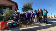 ‘Paint Phoenix Purple’: relaciones saludables y violencia doméstica