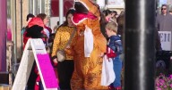 Box Elder families still find Halloween fun after Bear River event is canceled