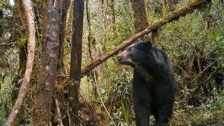 Peligra el agua de Colombia, alerta Corpoguavio