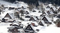 Un turista español herido por el ataque de un oso en Japón